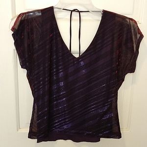 Shimmery Blouse